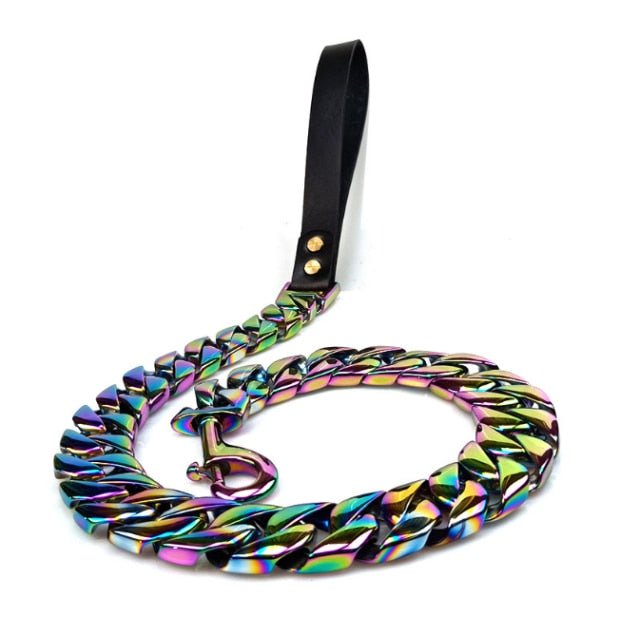 Limited Stainless Steel Dog Collar