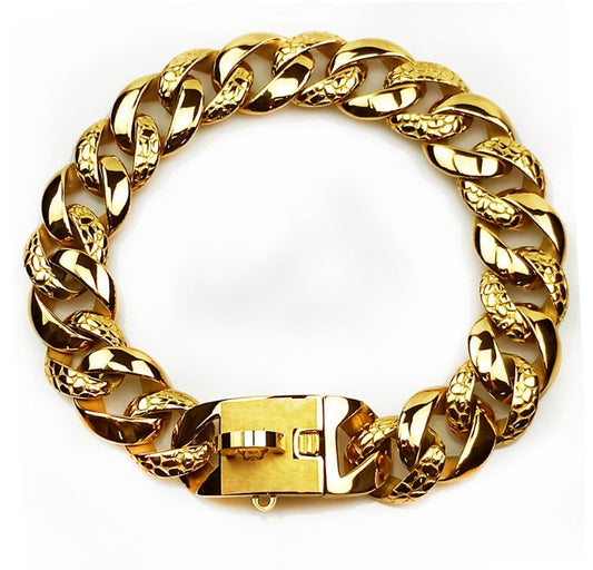 Big Dog Collar Leash and Gold Chain