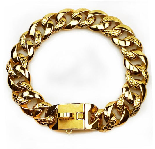 Big Dog Collar Leash and Gold Chain