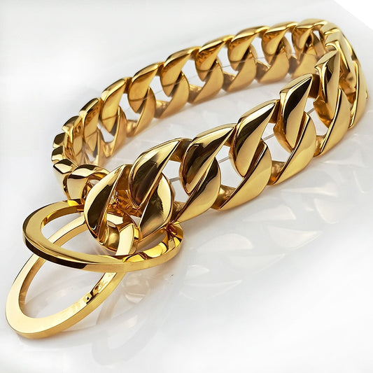 Smooth Stainless Steel Gold Metal Collar For Dog