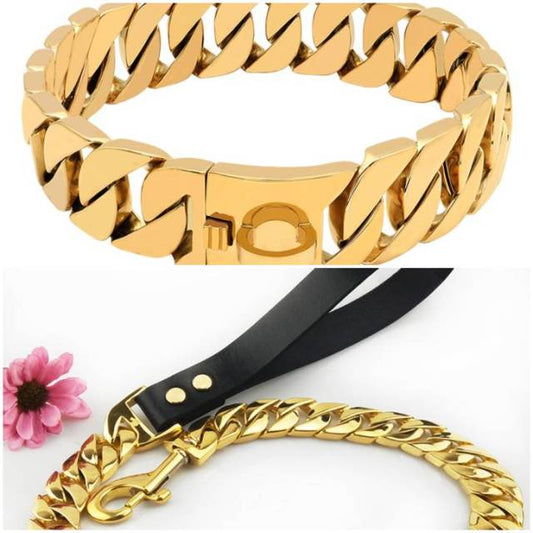 Dog Collar & Leash for Big Dog