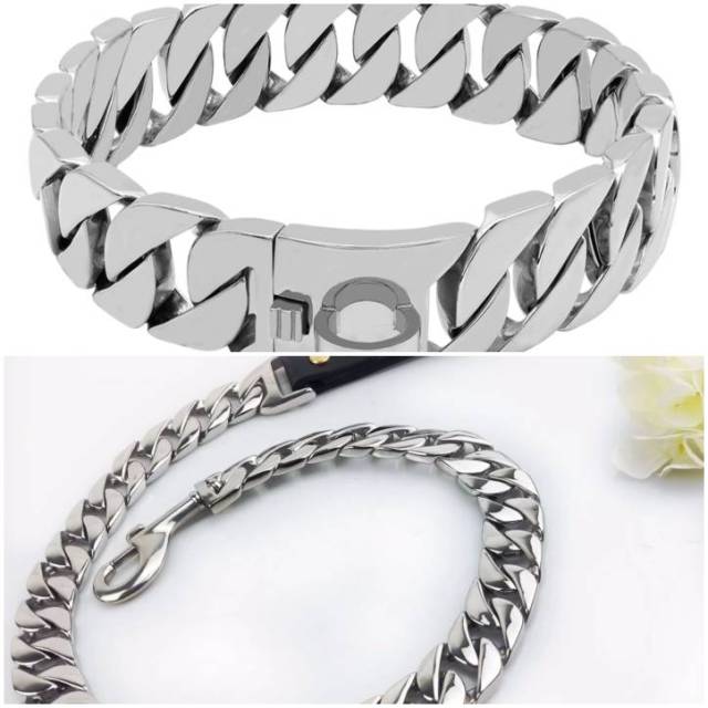 Dog Collar & Leash for Big Dog