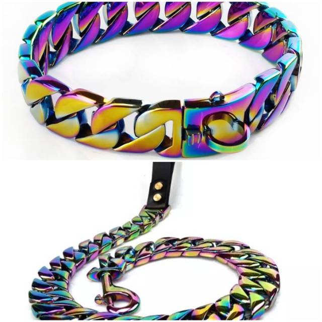 Dog Collar & Leash for Big Dog