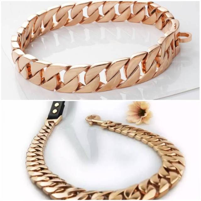 Dog Collar & Leash for Big Dog