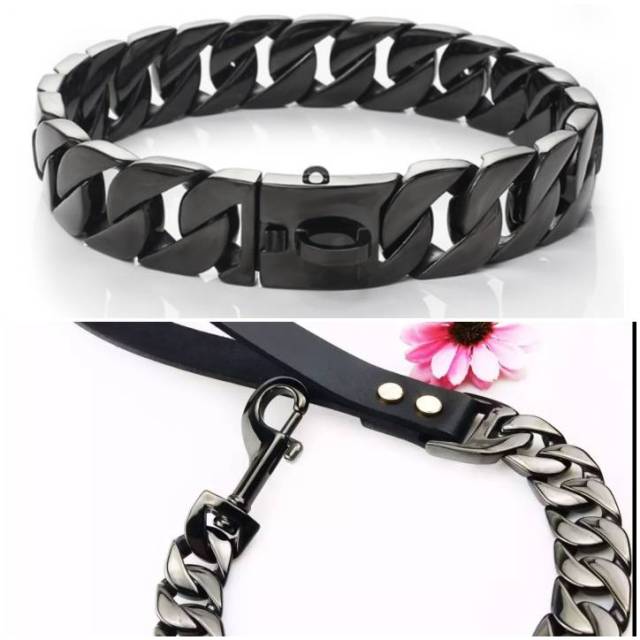 Dog Collar & Leash for Big Dog