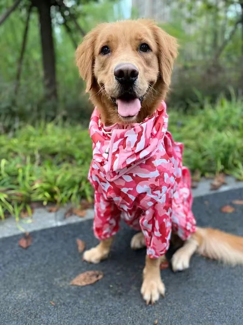 Dog Waterproof Raincoat & Suits