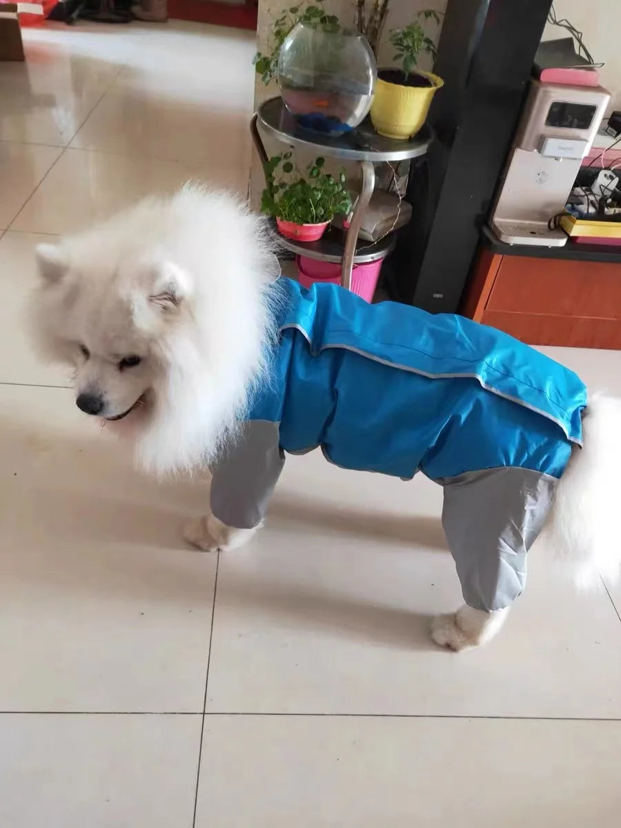 Dog Waterproof Raincoat & Suits