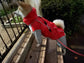 Dog Waterproof Raincoat & Suits