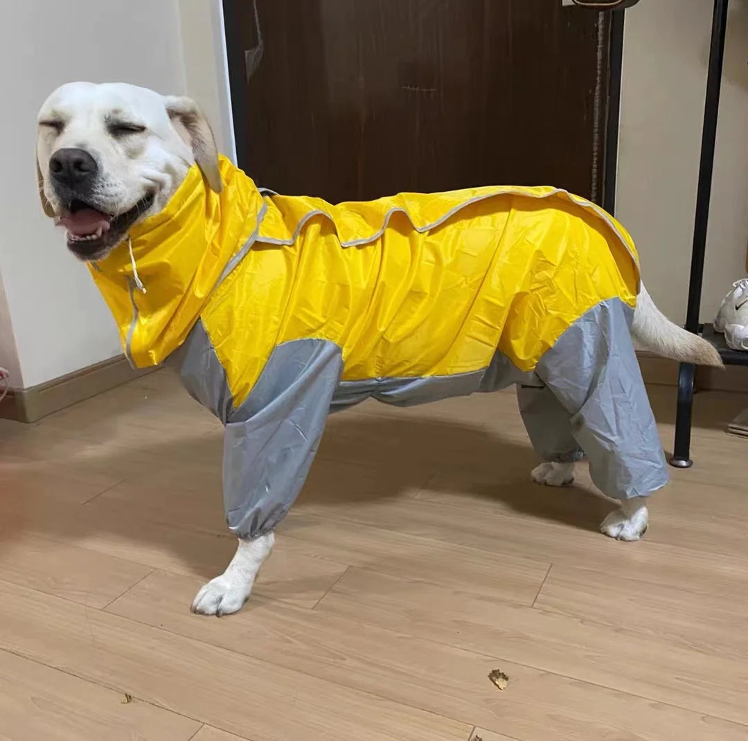 Dog Waterproof Raincoat & Suits