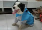 Dog Waterproof Raincoat & Suits