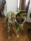 Dog Waterproof Raincoat & Suits