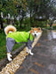 Dog Waterproof Raincoat & Suits