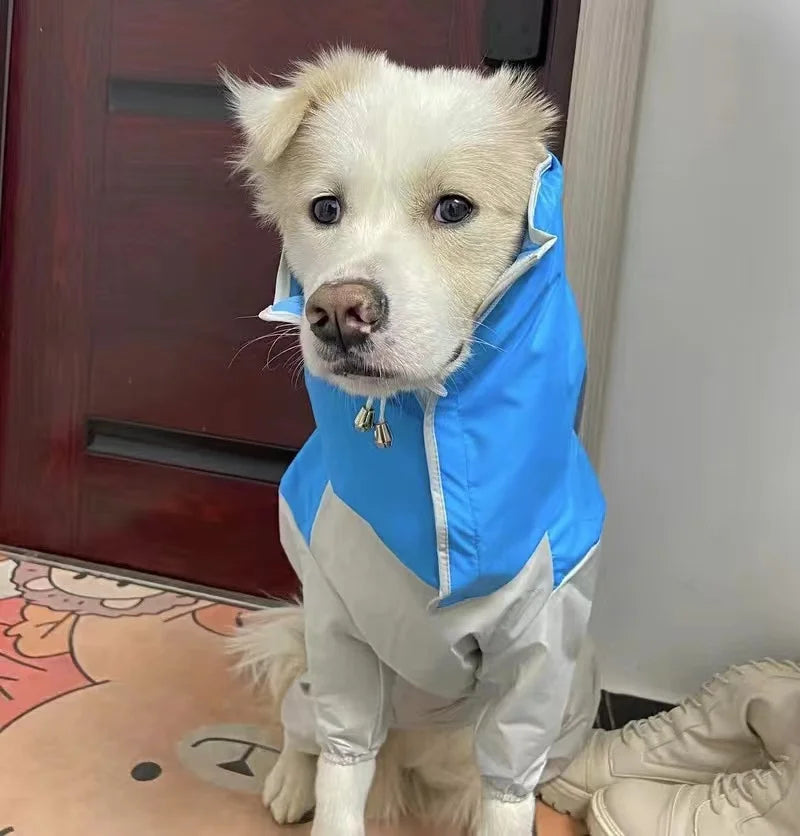 Dog Waterproof Raincoat & Suits