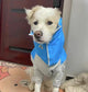 Dog Waterproof Raincoat & Suits