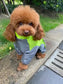 Dog Waterproof Raincoat & Suits