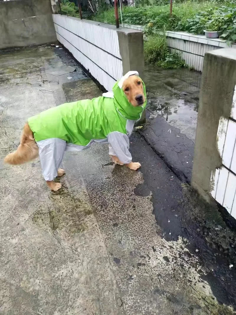 Dog Waterproof Raincoat & Suits