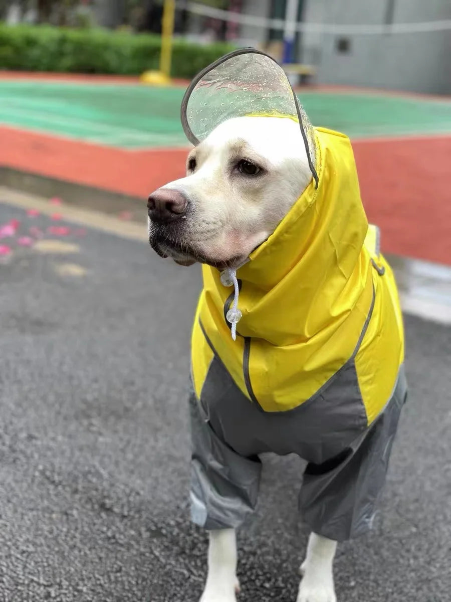 Dog Waterproof Raincoat & Suits