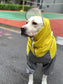 Dog Waterproof Raincoat & Suits