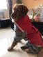 Dog Waterproof Raincoat & Suits