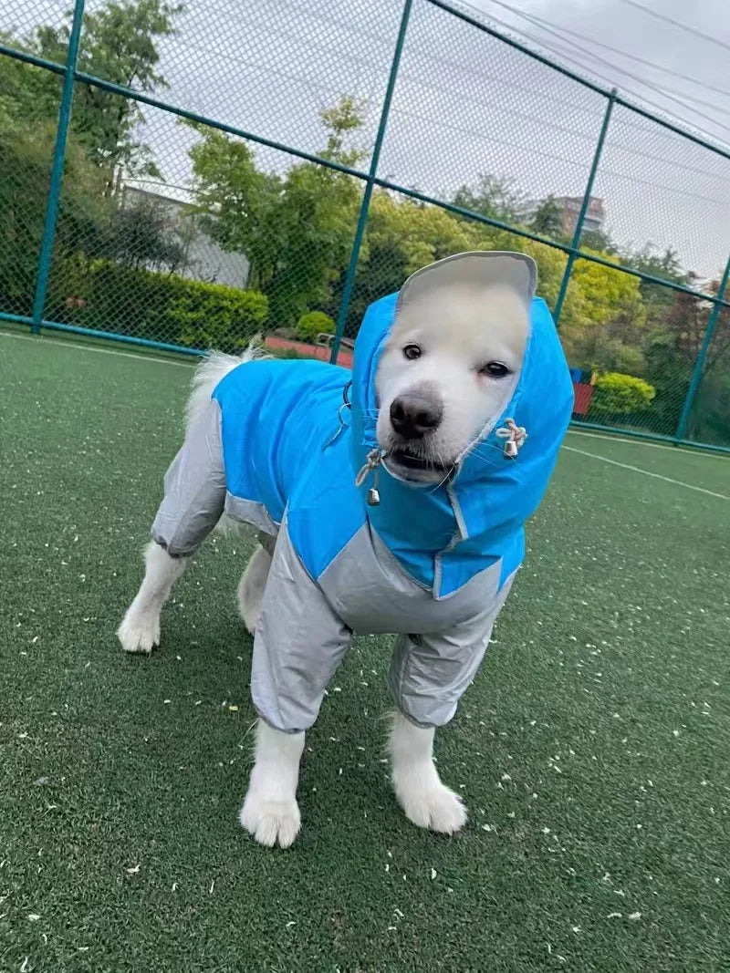 Dog Waterproof Raincoat & Suits