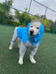 Dog Waterproof Raincoat & Suits