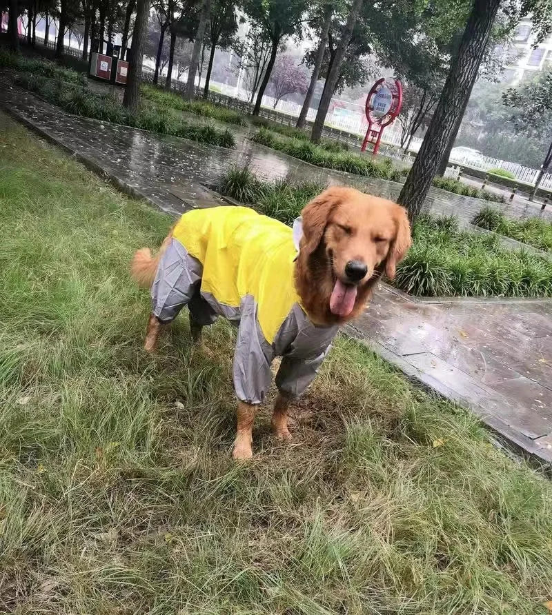 Dog Waterproof Raincoat & Suits