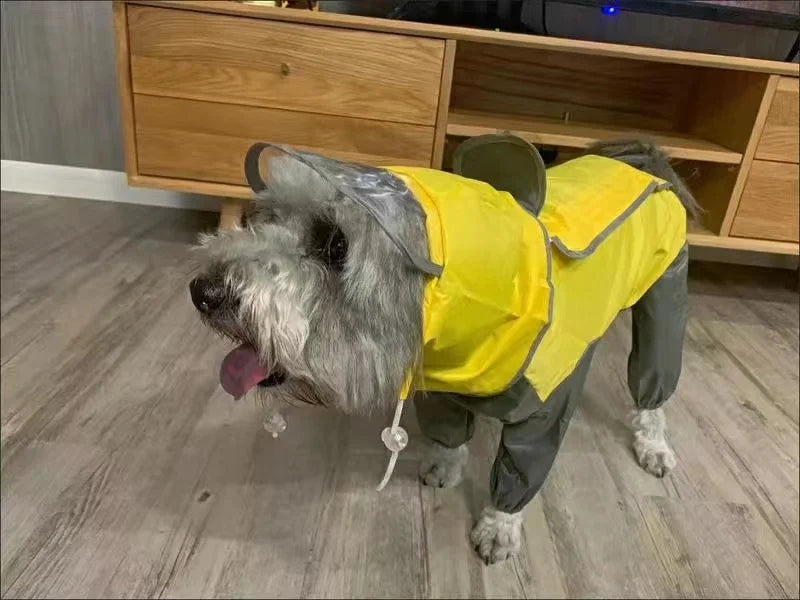 Dog Waterproof Raincoat & Suits