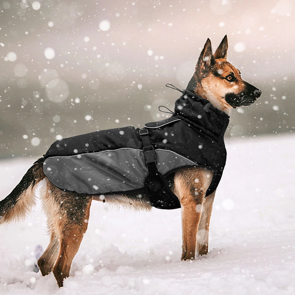 Waterproof Big Dog Warm Coat