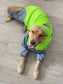 Dog Waterproof Raincoat & Suits