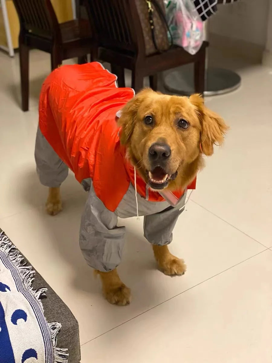 Dog Waterproof Raincoat & Suits