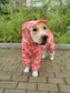 Dog Waterproof Raincoat & Suits