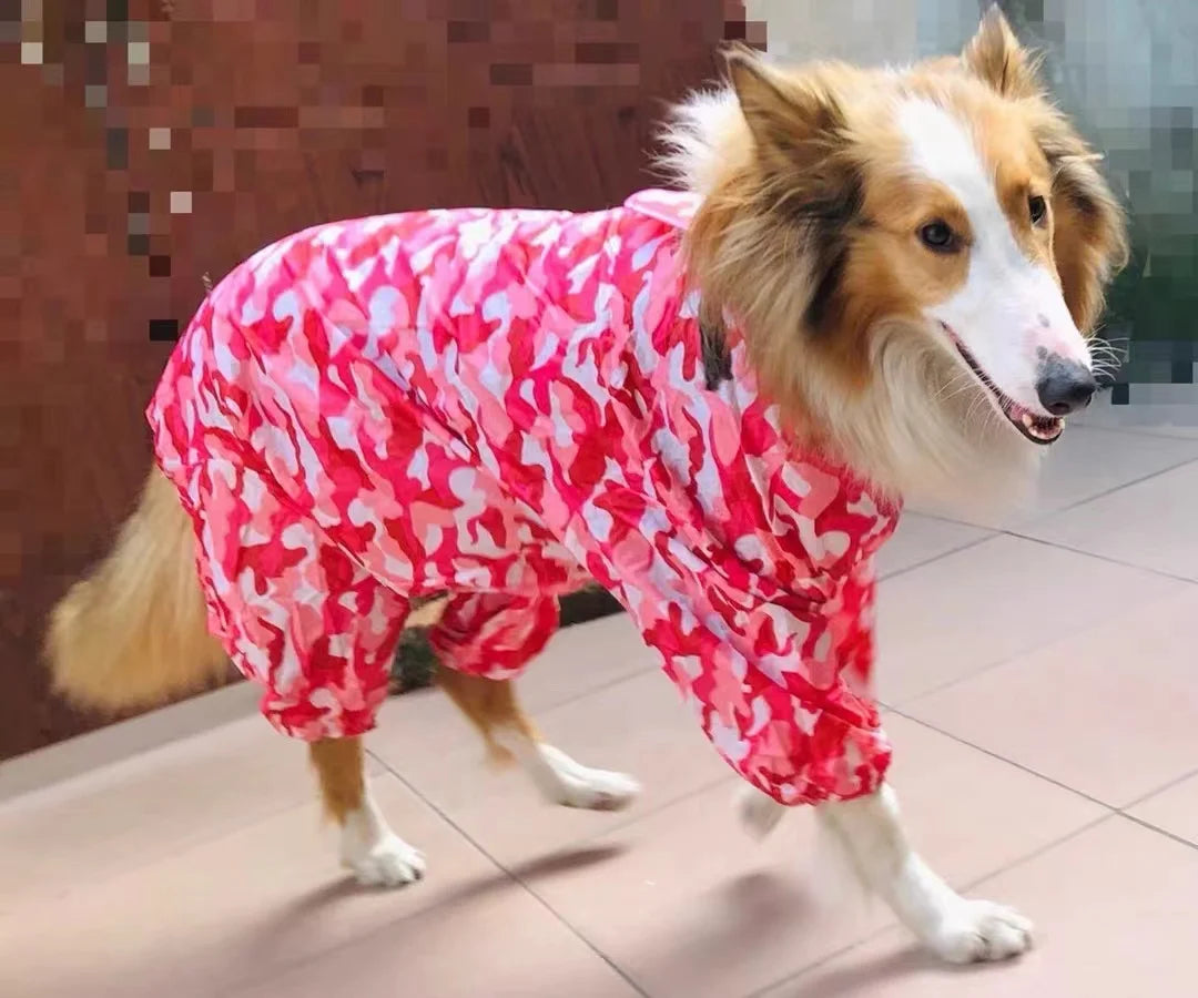 Dog Waterproof Raincoat & Suits