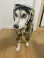 Dog Waterproof Raincoat & Suits