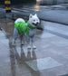 Dog Waterproof Raincoat & Suits