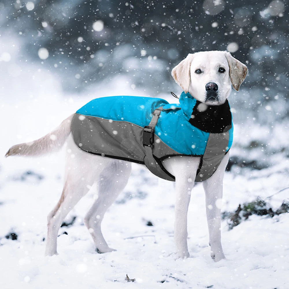 Waterproof Big Dog Warm Coat