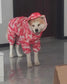 Dog Waterproof Raincoat & Suits