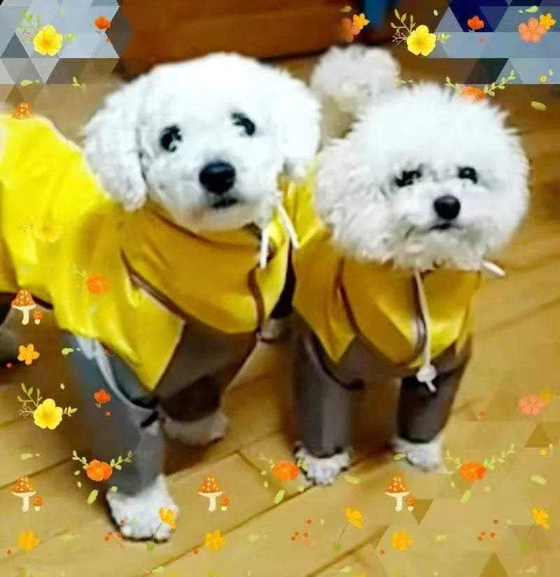 Dog Waterproof Raincoat & Suits