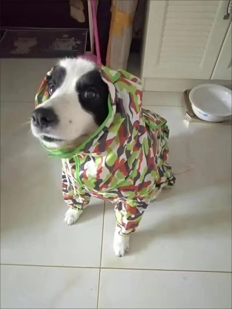 Dog Waterproof Raincoat & Suits