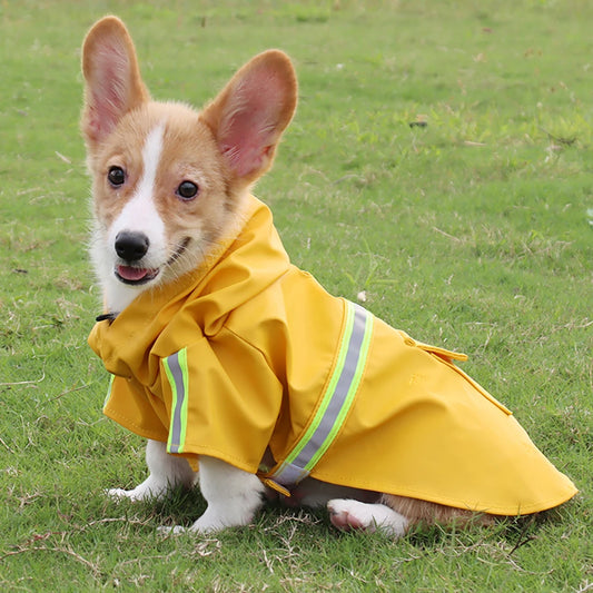 Dog Winter Waterproof Raincoat