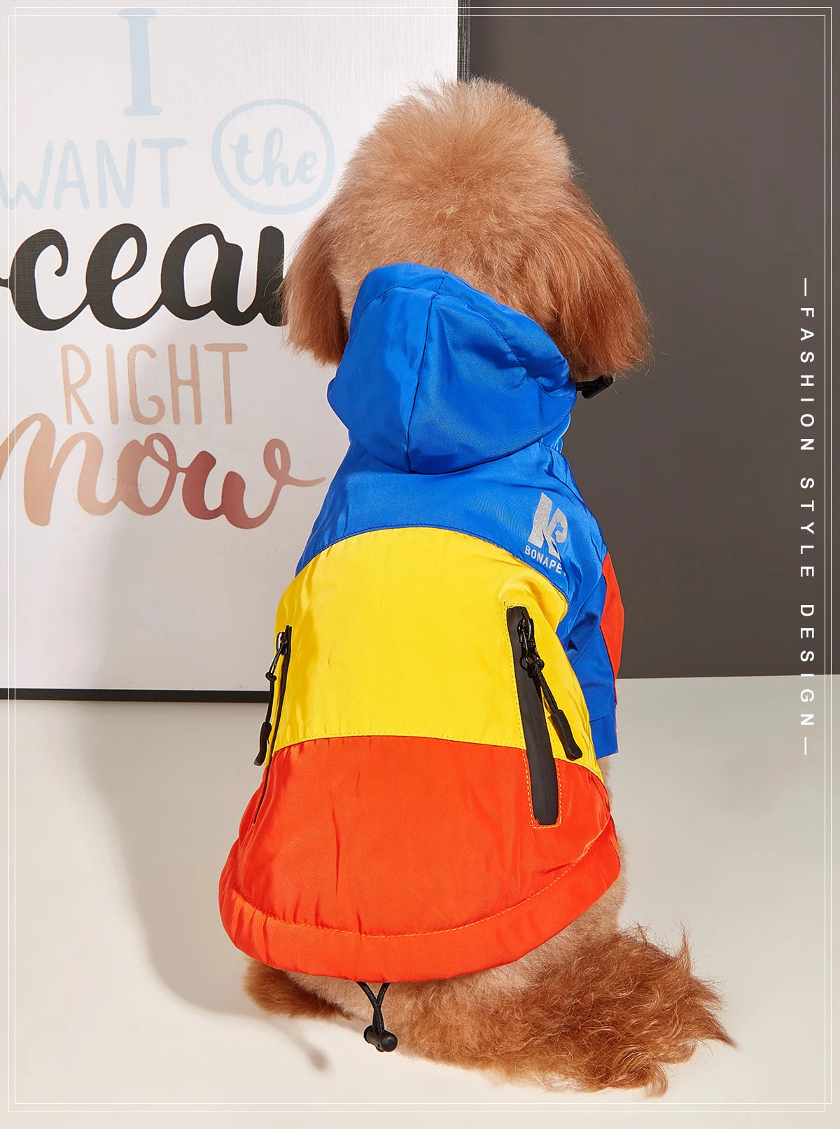 Winter Dog Jacket