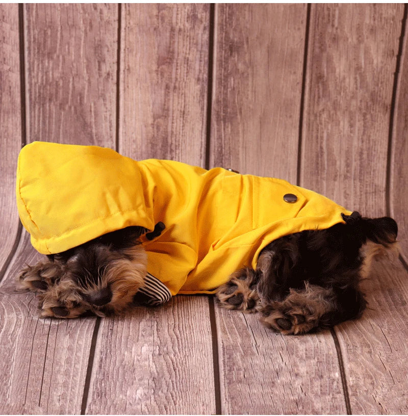 Large Dog Waterproof Raincoat