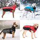 Waterproof Big Dog Warm Coat