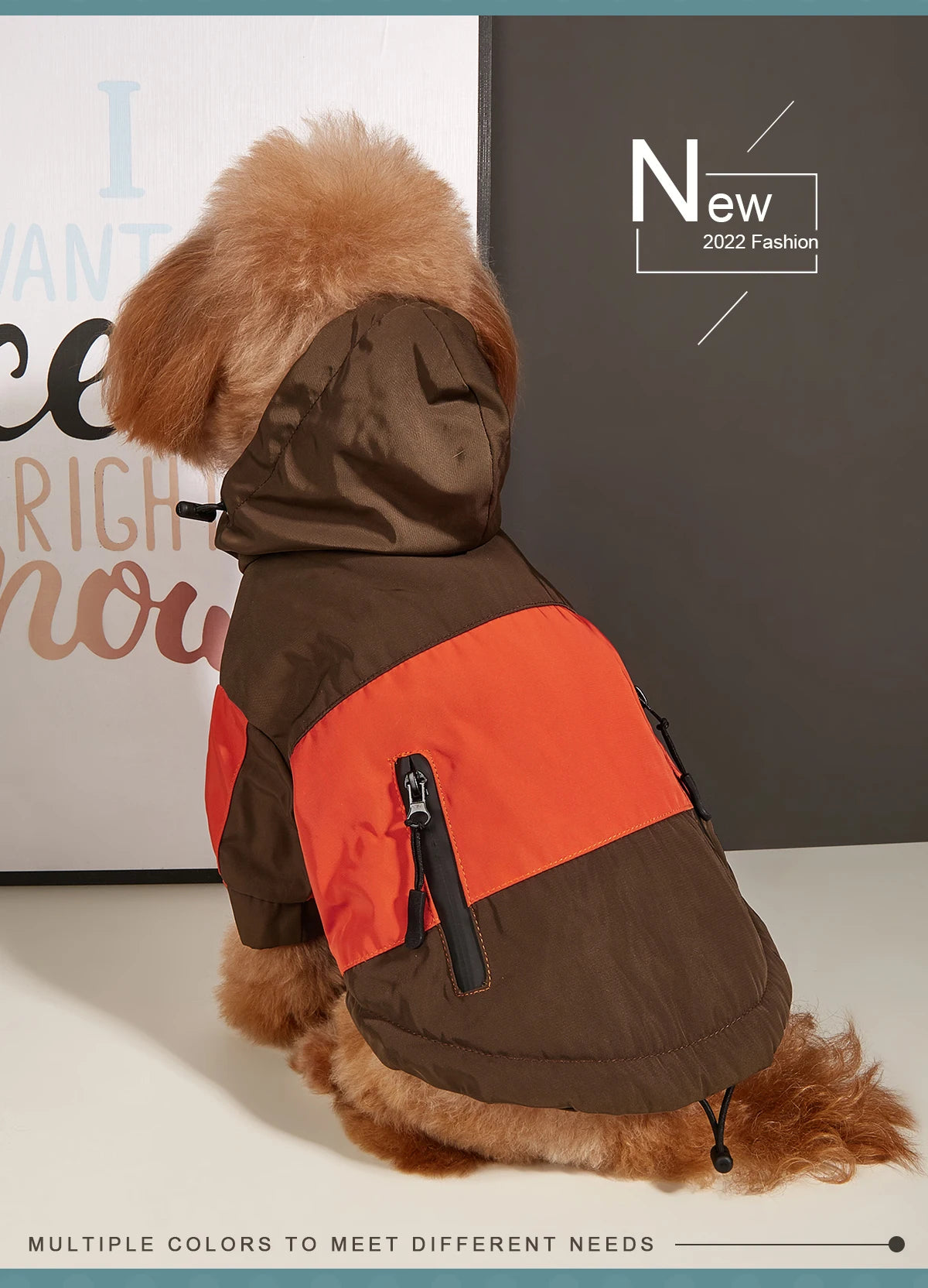 Winter Dog Jacket