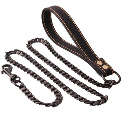 Big Dog Stainless Steel Leash