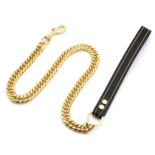 Dog Gold Chain Leash